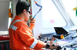 海事處技術(shù)服務(wù)中的信息技術(shù)咨詢(xún)服務(wù)