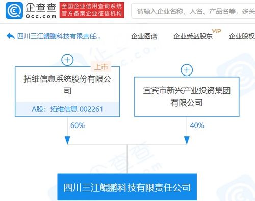 信息技術(shù)咨詢(xún)服務(wù)的重要性與發(fā)展趨勢(shì)