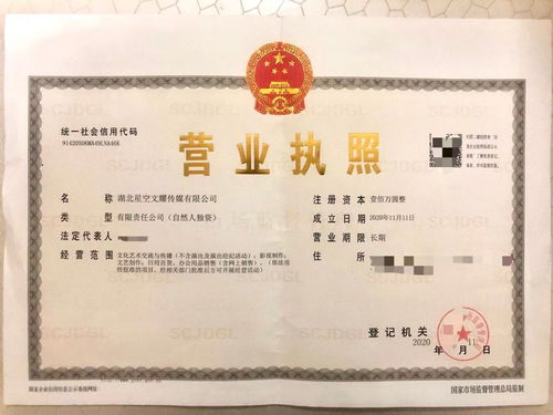 星空文耀 專業(yè)工商注冊(cè)實(shí)體工作室，高價(jià)收購(gòu)飛盧太監(jiān)書及財(cái)務(wù)咨詢